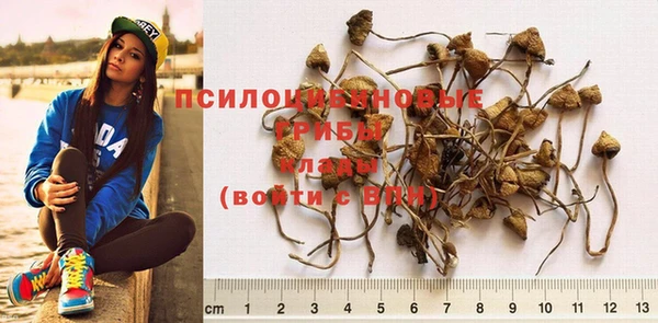 прущая мука Волоколамск
