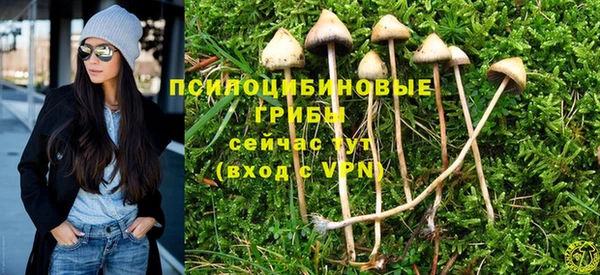 кокаин премиум Вяземский