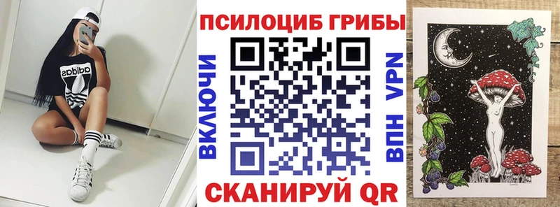 Купить где  Нерехта  Псилоцибиновые грибы ЛСД 